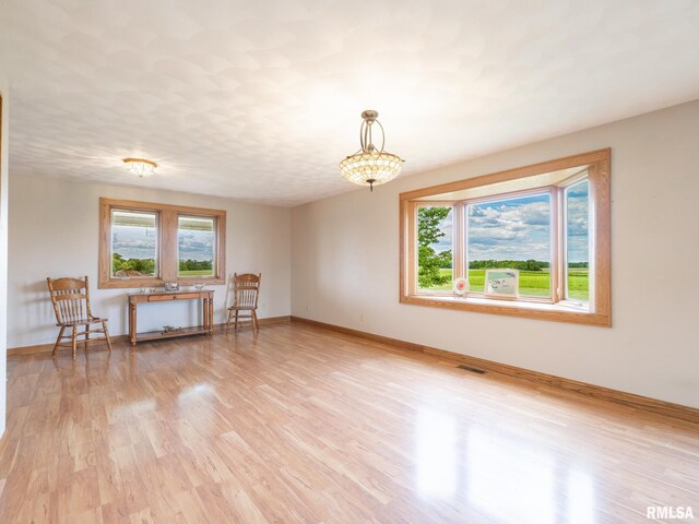 26620 Schuck Rd, Washington, IL 61571 - spare room featuring plenty of natural light, light wood-style floors, and baseboards
