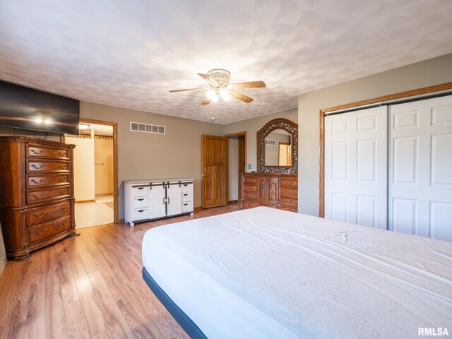 26620 Schuck Rd, Washington, IL 61571 - bedroom with a closet, light wood-style floors, ceiling fan, and ensuite bath