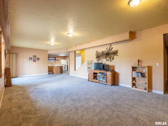 26620 Schuck Rd, Washington, IL 61571 - living area with carpet floors, a textured ceiling, and baseboards