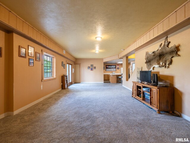 26620 Schuck Rd, Washington, IL 61571 - unfurnished living room featuring carpet floors, a textured ceiling, and baseboards