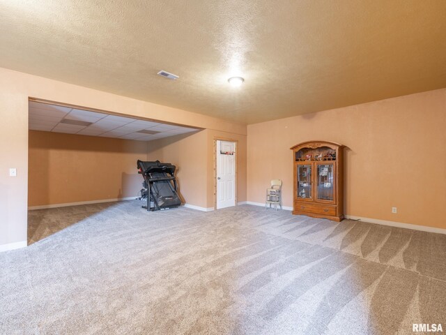 26620 Schuck Rd, Washington, IL 61571 - finished below grade area featuring carpet flooring, a textured ceiling, baseboards, and a wood stove