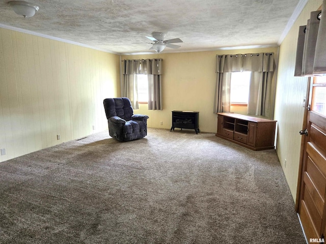 407 N 12th Ave, Canton, IL 61520 - living area featuring a wood stove, plenty of natural light, crown molding, carpet flooring, and ceiling fan