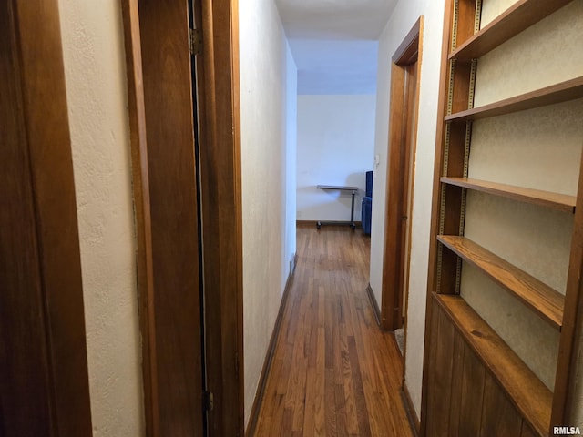 407 N 12th Ave, Canton, IL 61520 - hallway with dark wood finished floors