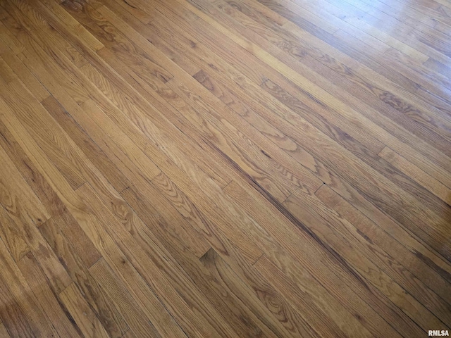 407 N 12th Ave, Canton, IL 61520 - detailed view of wood finished floors