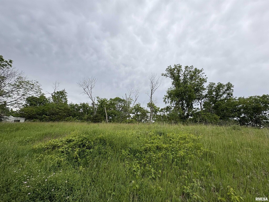 LOT20 Deer Bluffs Dr, Chillicothe, IL 61523