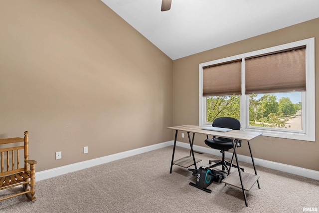 6503 W Sommer Pl, Edwards, IL 61528 - photo 29