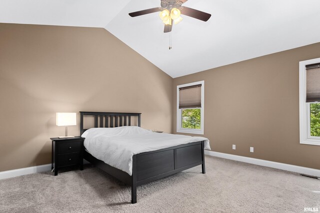 6503 W Sommer Pl, Edwards, IL 61528 - photo 33