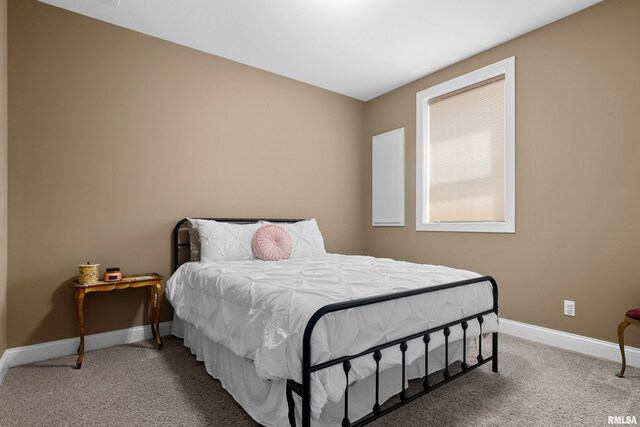 6503 W Sommer Pl, Edwards, IL 61528 - photo 46