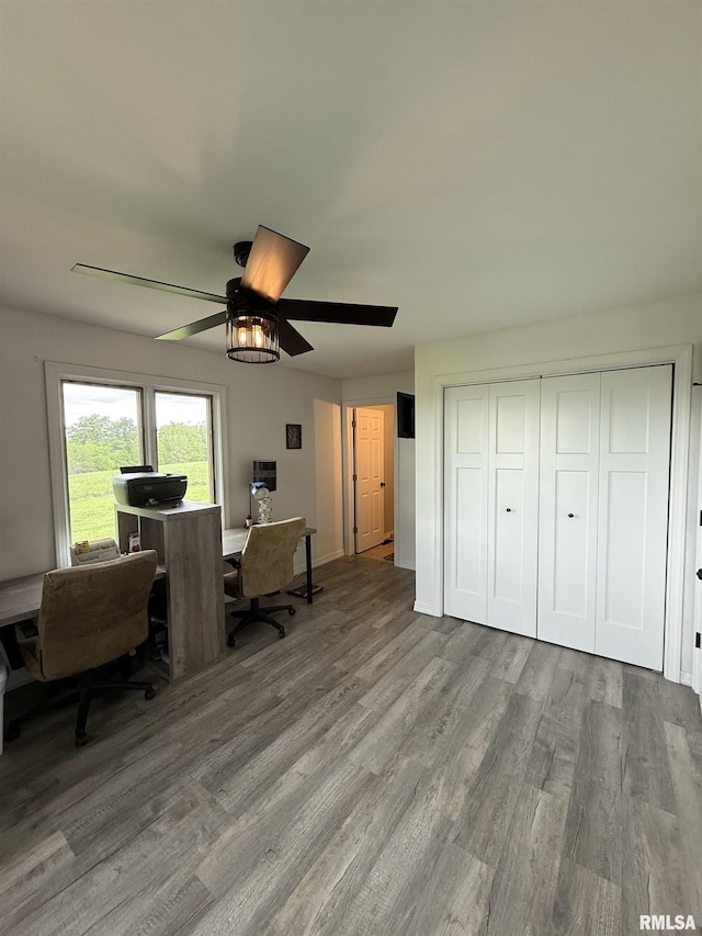 4170 E 1200th St, Macomb, IL 61455 - home office with wood finished floors, ceiling fan, and baseboards