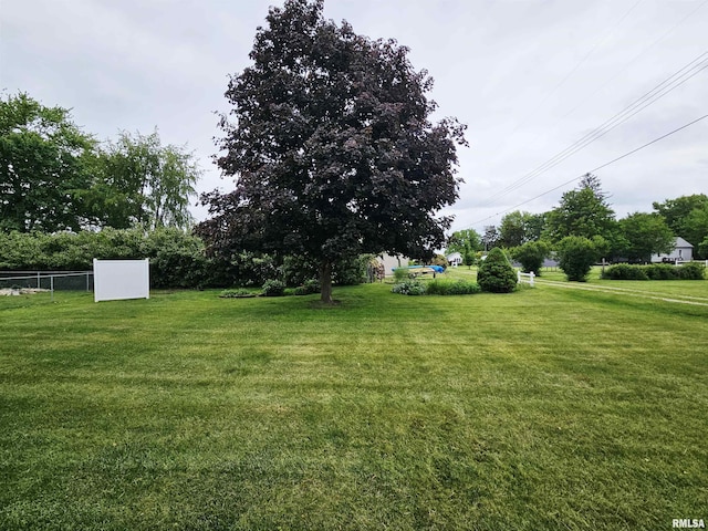 420 Cherry St, Adair, IL 61411 - photo 29