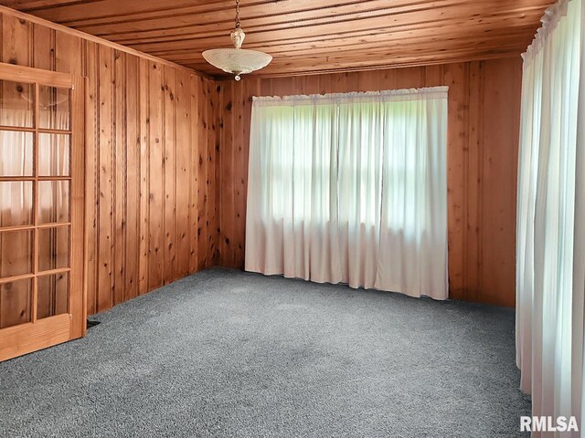 419 S Franklin St, Toulon, IL 61483 - carpeted spare room featuring wooden ceiling and wood walls