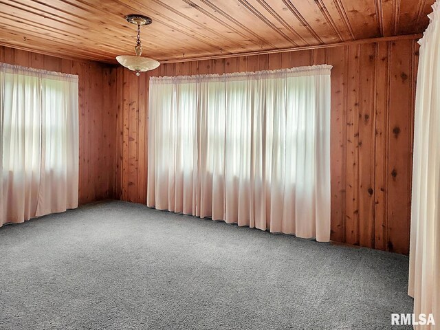 419 S Franklin St, Toulon, IL 61483 - spare room featuring carpet floors, wooden ceiling, and wood walls