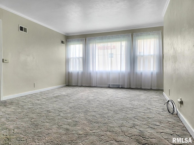 419 S Franklin St, Toulon, IL 61483 - empty room with carpet flooring, ornamental molding, and baseboards