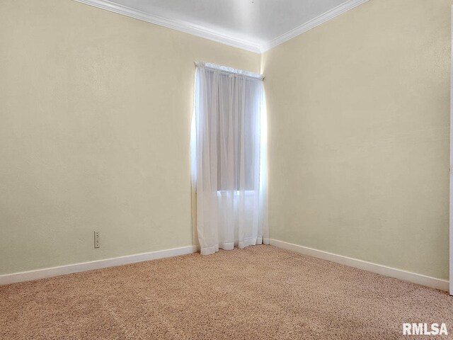 419 S Franklin St, Toulon, IL 61483 - empty room with crown molding, light colored carpet, and baseboards