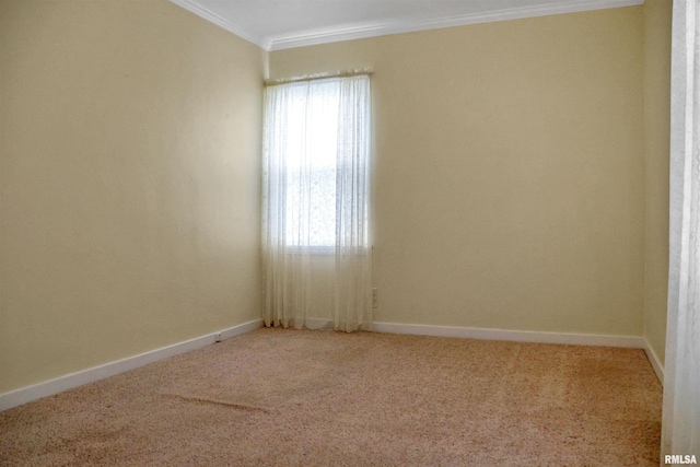 419 S Franklin St, Toulon, IL 61483 - spare room featuring crown molding, carpet, and baseboards