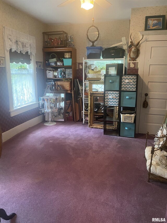 629 S Randolph St, Macomb, IL 61455 - photo 38
