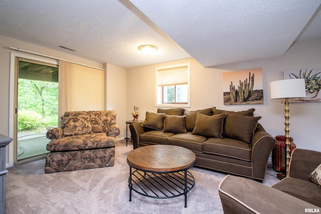 32 Black Partridge Run, Hopewell, IL 61565 - carpeted living area with a textured ceiling