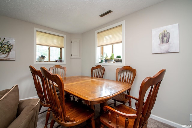 32 Black Partridge Run, Hopewell, IL 61565 - dining area with healthy amount of natural light, carpet, and a textured ceiling