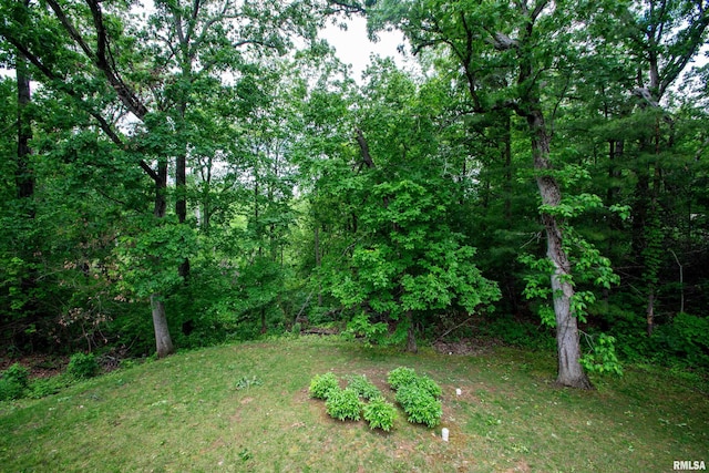 32 Black Partridge Run, Hopewell, IL 61565 - view of yard with a view of trees