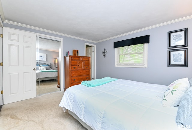 311 Juniper Ln, East Peoria, IL 61611 - bedroom featuring carpet flooring, ornamental molding, and a closet