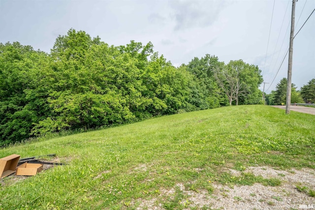 23907 Veterans Rd, Morton, IL 61550 - view of yard