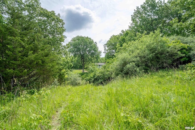 23907 Veterans Rd, Morton, IL 61550 - view of undeveloped land