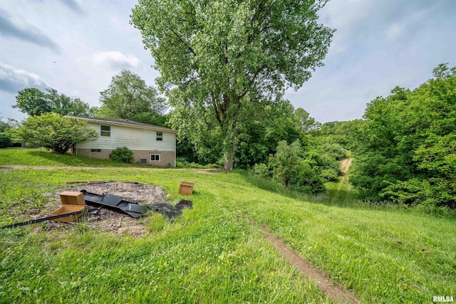 23907 Veterans Rd, Morton, IL 61550 - view of yard