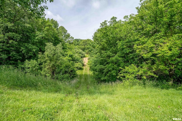 23907 Veterans Rd, Morton, IL 61550 - view of tree filled area