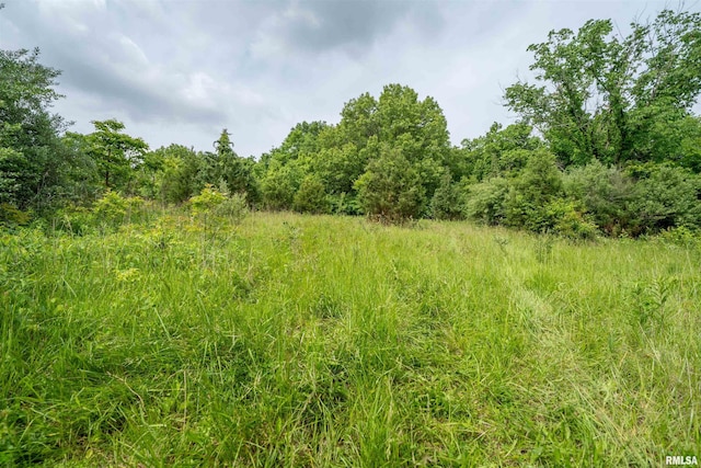 23907 Veterans Rd, Morton, IL 61550 - view of wooded area