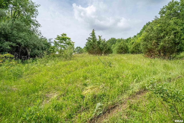 23907 Veterans Rd, Morton, IL 61550 - view of nature