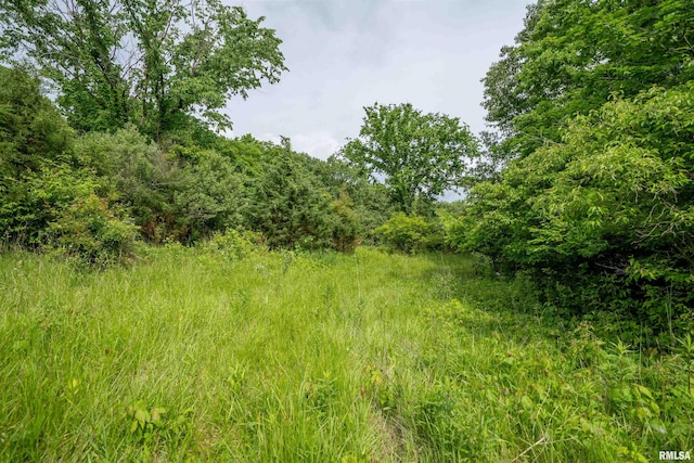 23907 Veterans Rd, Morton, IL 61550 - view of wooded area