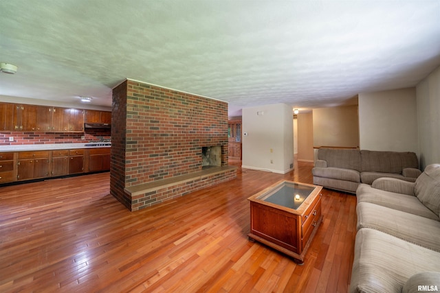 23907 Veterans Rd, Morton, IL 61550 - living area featuring light wood-style floors, a fireplace, and baseboards