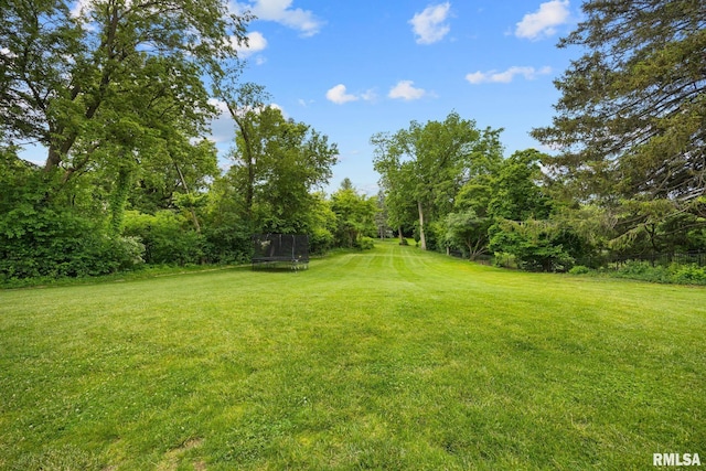 4407 N Grandview Dr, Peoria Heights, IL 61483 - view of green lawn with a trampoline