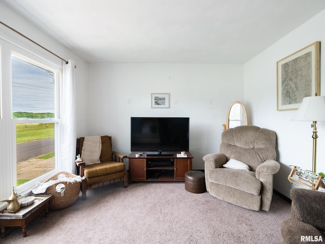1402 Lincoln Rd, Marquette Heights, IL 61554 - living room with plenty of natural light and light colored carpet