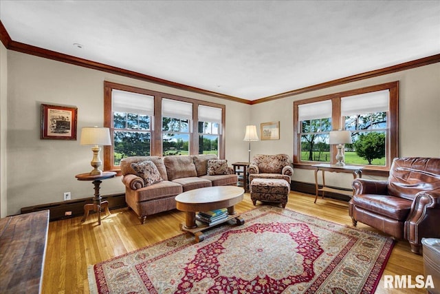 701 E Pearl St, Tremont, IL 61568 - living area featuring healthy amount of natural light, ornamental molding, wood finished floors, and baseboards