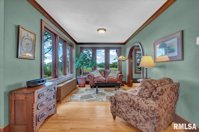 701 E Pearl St, Tremont, IL 61568 - living room with radiator heating unit, crown molding, healthy amount of natural light, and light wood finished floors