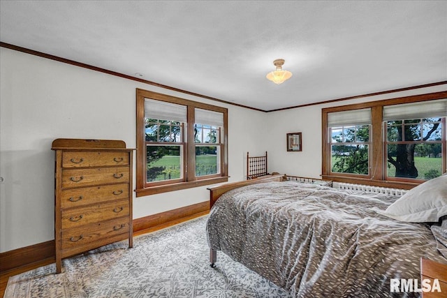 701 E Pearl St, Tremont, IL 61568 - bedroom with crown molding, multiple windows, and baseboards