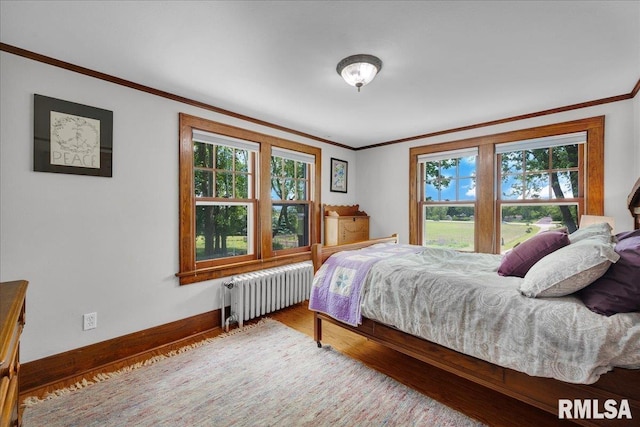 701 E Pearl St, Tremont, IL 61568 - bedroom with radiator heating unit, crown molding, wood finished floors, and baseboards