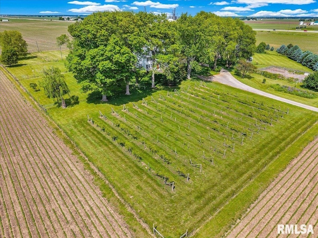 701 E Pearl St, Tremont, IL 61568 - view of rural area with rows of crops