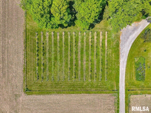 701 E Pearl St, Tremont, IL 61568 - drone / aerial view