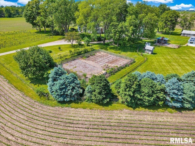 701 E Pearl St, Tremont, IL 61568 - view of rural area