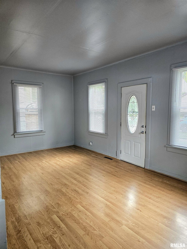 723 E Maywood Ave, Peoria, IL 61603 - entryway featuring light wood-type flooring and healthy amount of natural light