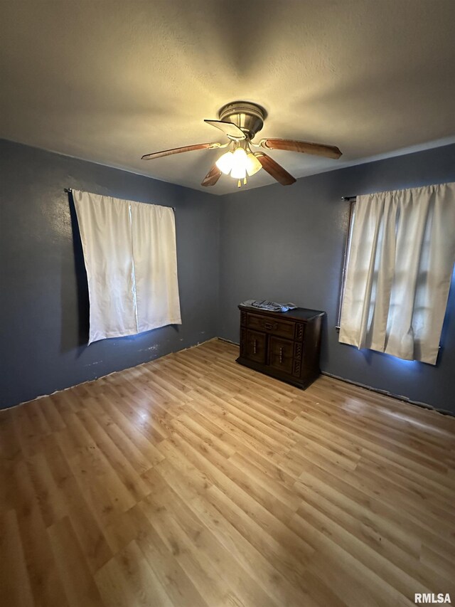 3005 W Ann St, Peoria, IL 61605 - photo 8