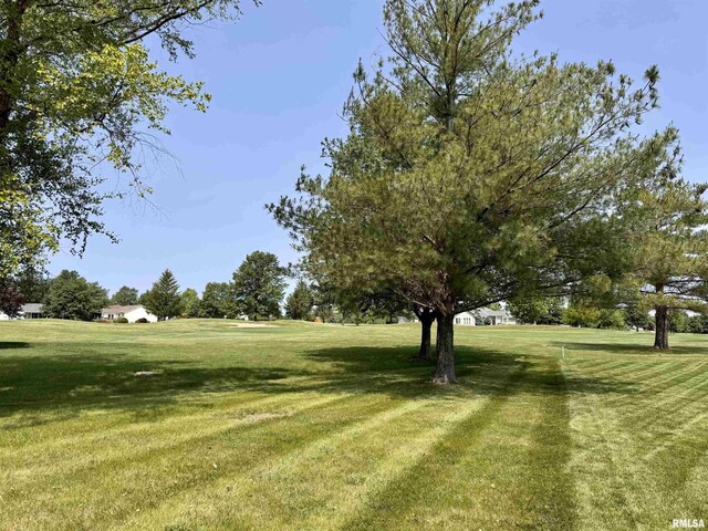 1041 Hawthorn Rdg, Macomb, IL 61455 - view of grassy yard