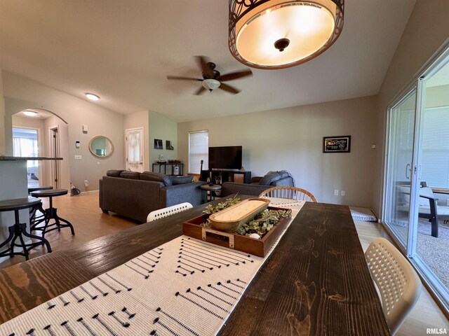 1041 Hawthorn Rdg, Macomb, IL 61455 - living area featuring wood finished floors, a ceiling fan, arched walkways, baseboards, and vaulted ceiling