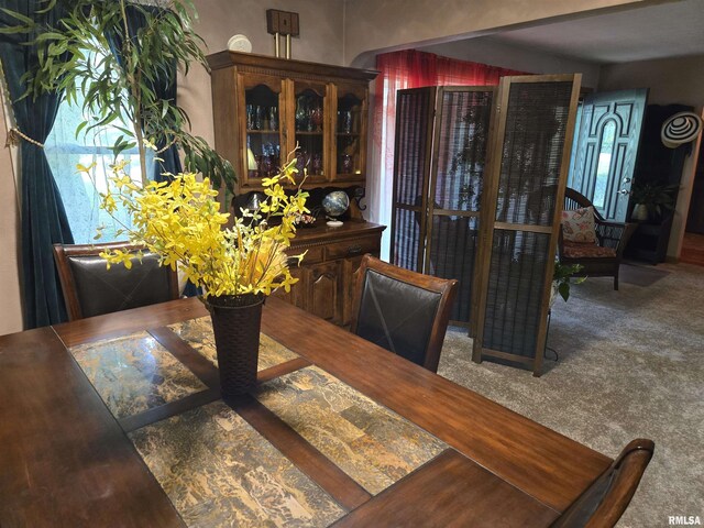 16324 E Cherokee Rd, Cuba, IL 61427 - view of carpeted dining area