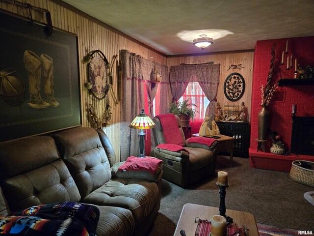 16324 E Cherokee Rd, Cuba, IL 61427 - carpeted living room featuring wooden walls