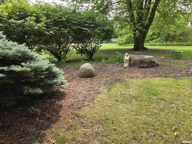 16324 E Cherokee Rd, Cuba, IL 61427 - view of grassy yard