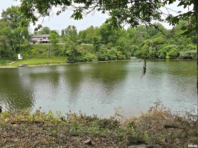 16324 E Cherokee Rd, Cuba, IL 61427 - water view with a forest