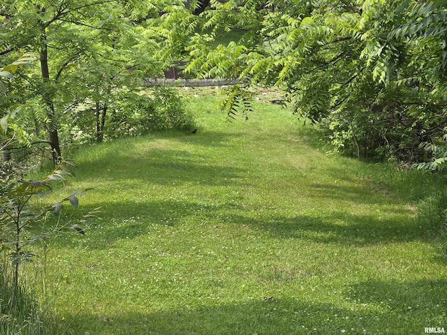 16324 E Cherokee Rd, Cuba, IL 61427 - view of grassy yard